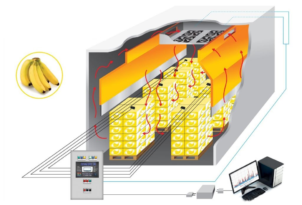 Δυναμική Ωρίμανση
