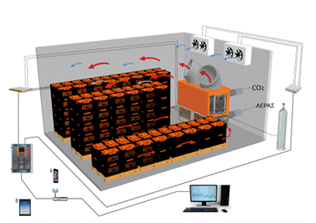 Δυναμικός Αποπρασινισμός