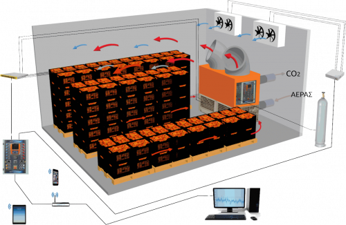 Δυναμικός Αποπρασινισμός
