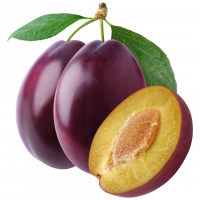 Plum