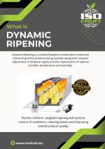 διακοσμητική εικόνα