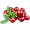 Cranberry