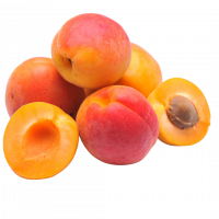 Apricot