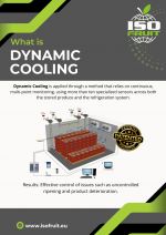 διακοσμητική εικόνα