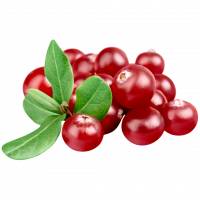 Cranberry