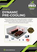 Διακοσμητική εικόνα