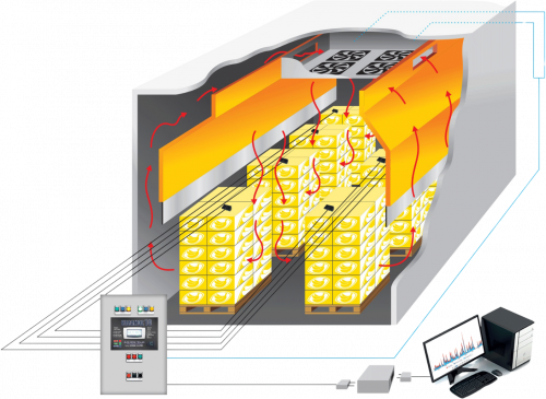 Δυναμική Ωρίμανση