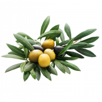 Olives